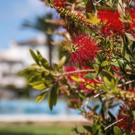 Apartmán Avalon Jávea Exteriér fotografie